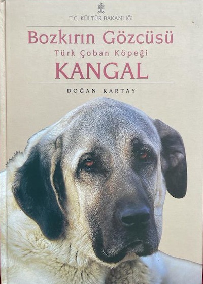 Bozkırın%20Gözcüsü%20Türk%20Çoban%20Köpeği%20Kangal