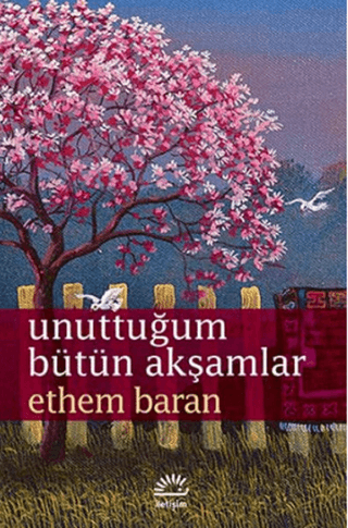 Unuttuğum%20Bütün%20Akşamlar