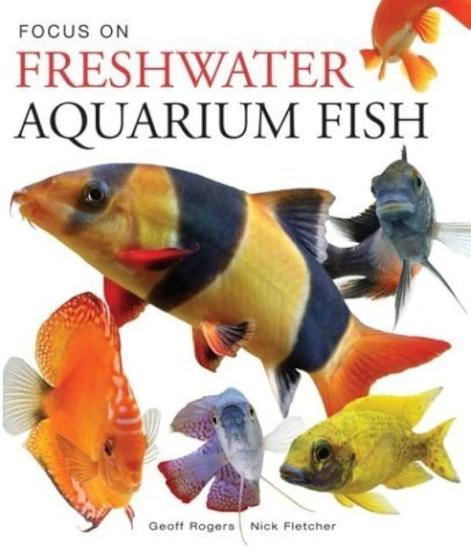 Firefly Books, Focus on Freshwater Aquarium Fish, Geoff Rogers