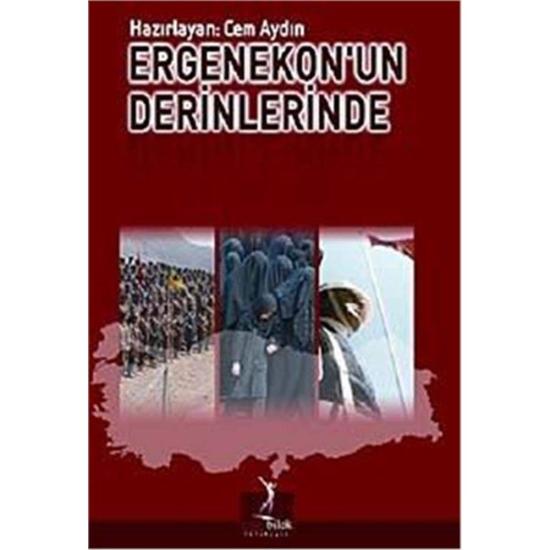 Altın Bilek Yayınları, Ergenekon’un Derinlerinde, Cem Aydın