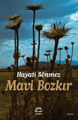 Mavi Bozkır, Hayati Sönmez, İletişim Yayınevi